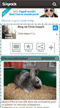 Mobile Screenshot of chok-happik.skyrock.com