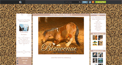 Desktop Screenshot of cheval-official.skyrock.com