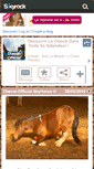 Mobile Screenshot of cheval-official.skyrock.com