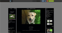Desktop Screenshot of labrador-monchien.skyrock.com