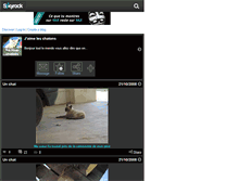 Tablet Screenshot of fha-love-chatons.skyrock.com
