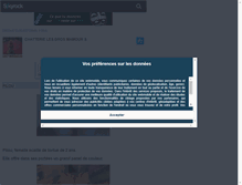 Tablet Screenshot of lesgrosmamours.skyrock.com