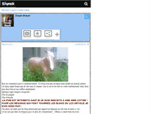 Tablet Screenshot of dream-breyer.skyrock.com