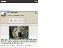 Tablet Screenshot of animaux-en-disparitions.skyrock.com