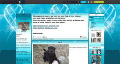 Desktop Screenshot of nosharpei.skyrock.com