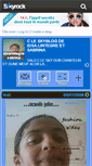 Mobile Screenshot of idsalintegre-sabrina.skyrock.com