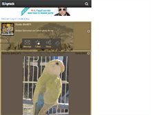 Tablet Screenshot of exoticbird971.skyrock.com