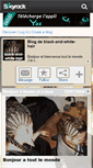Mobile Screenshot of black-and-white-hair.skyrock.com
