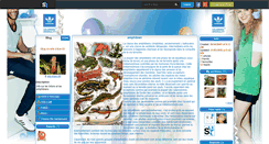 Desktop Screenshot of info-triton-06.skyrock.com