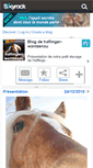 Mobile Screenshot of haflinger-wantzenau.skyrock.com