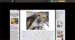 Desktop Screenshot of chiens-chats-appats.skyrock.com