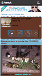 Mobile Screenshot of cochon-dinde-x3.skyrock.com