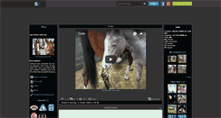 Desktop Screenshot of my-horse-and-me.skyrock.com