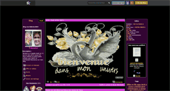Desktop Screenshot of bibiche3604.skyrock.com