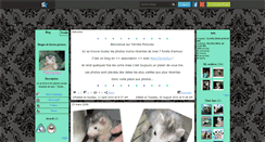 Desktop Screenshot of ferrets-pictures.skyrock.com