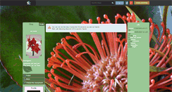 Desktop Screenshot of amaryllis126.skyrock.com