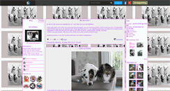 Desktop Screenshot of mesnanimauxamoi.skyrock.com