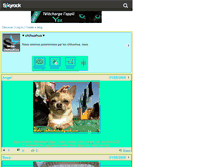 Tablet Screenshot of bebe-chihuahua.skyrock.com