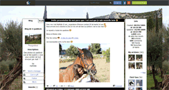 Desktop Screenshot of o-paddock.skyrock.com