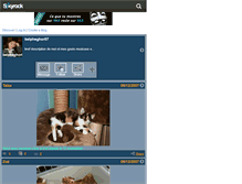 Tablet Screenshot of belpheghor07.skyrock.com