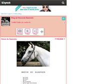 Tablet Screenshot of hocco-du-saosnois.skyrock.com