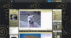 Desktop Screenshot of jackrussell29.skyrock.com