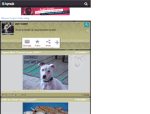 Tablet Screenshot of jackrussell29.skyrock.com