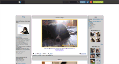 Desktop Screenshot of amour-de-chien.skyrock.com