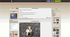 Desktop Screenshot of les-pigeons-ma-passion.skyrock.com