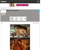 Tablet Screenshot of horses-pictures-x.skyrock.com