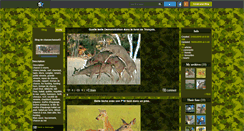 Desktop Screenshot of chassechasse03.skyrock.com