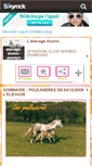 Mobile Screenshot of elevage-aluinn-poneys.skyrock.com