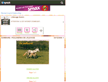 Tablet Screenshot of elevage-aluinn-poneys.skyrock.com