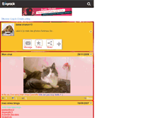 Tablet Screenshot of bebe-chaton13.skyrock.com