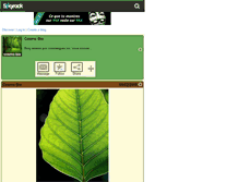 Tablet Screenshot of cosmo-bio.skyrock.com