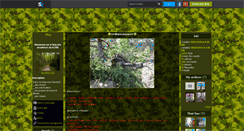 Desktop Screenshot of airsoft-02300.skyrock.com