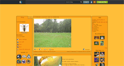 Desktop Screenshot of abeilles12.skyrock.com