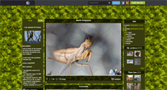 Desktop Screenshot of oiseaux-de-france.skyrock.com