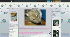Desktop Screenshot of dicorat.skyrock.com