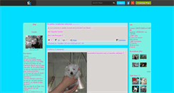 Desktop Screenshot of canelle62390.skyrock.com