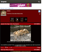 Tablet Screenshot of handichien126.skyrock.com