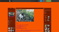 Desktop Screenshot of darling-ma-jack-russell.skyrock.com
