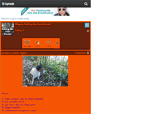 Tablet Screenshot of darling-ma-jack-russell.skyrock.com