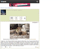 Tablet Screenshot of detresse-x-animal.skyrock.com