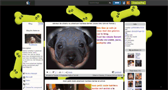 Desktop Screenshot of chiens-nu.skyrock.com
