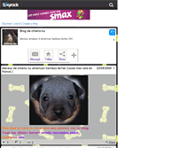 Tablet Screenshot of chiens-nu.skyrock.com