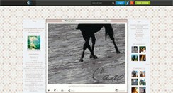 Desktop Screenshot of caro-photographies.skyrock.com