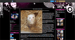 Desktop Screenshot of fufu-hugo.skyrock.com