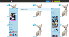 Desktop Screenshot of chihuahua-dogz.skyrock.com