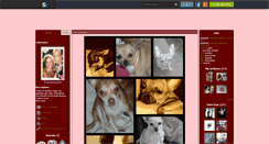 Desktop Screenshot of chihuahua0602.skyrock.com